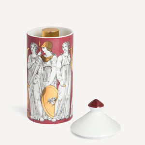 TALVOLTA Scented Room Spray - Immaginazione Fragrance