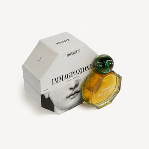 Immaginazione