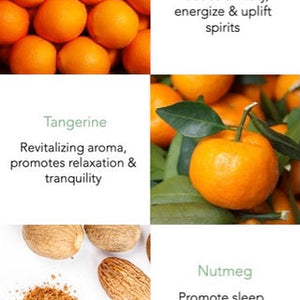 Aromatic Wood Essential Oil 10ml With Cinnamon Potpourri