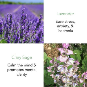 Earl Grey Essential Oil 10ml with Flower Potpourri