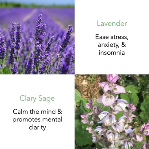 Earl Grey Essential Oil 10ml with Flower Potpourri