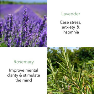 Lavender & Rosemary Essential Oil 10ml with Potpourri