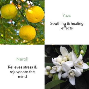 Eastern Orchard Essential Oil 10ml & Potpourri