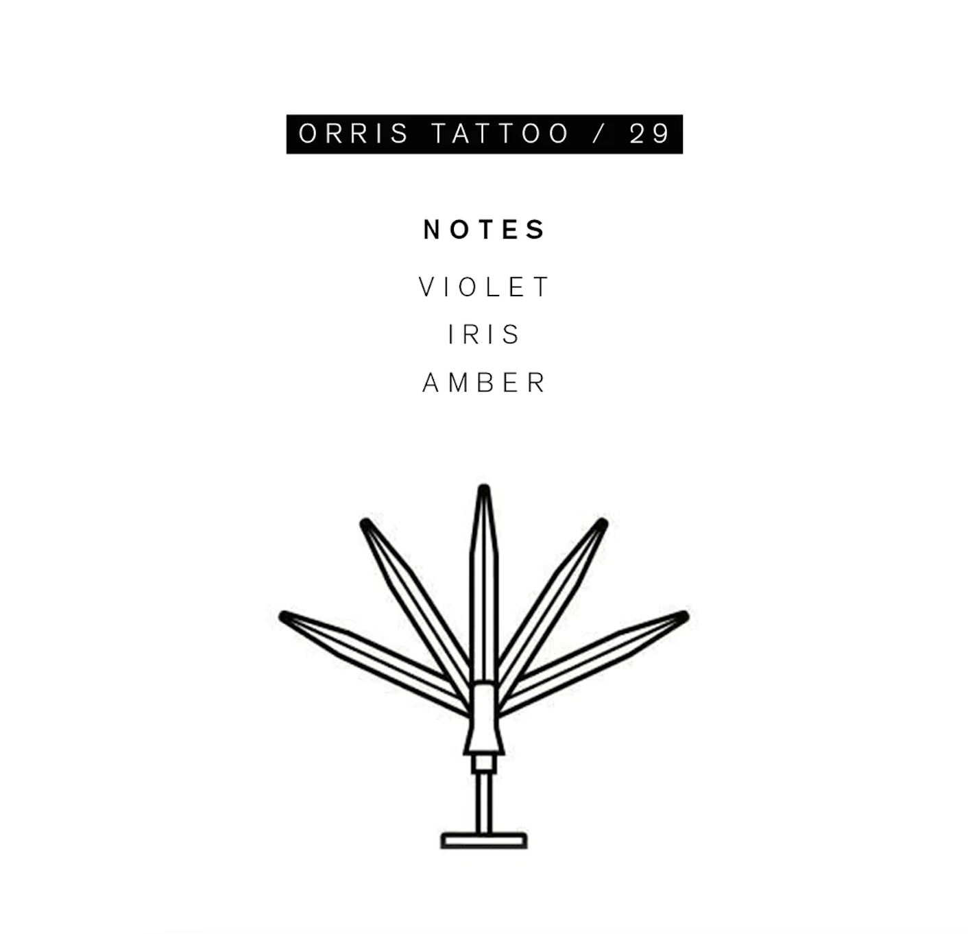 Parle Moi Orris Tattoo / 29