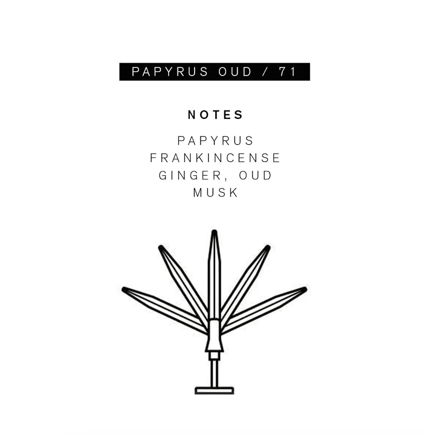 Parle Moi Papyrus Oud / 71