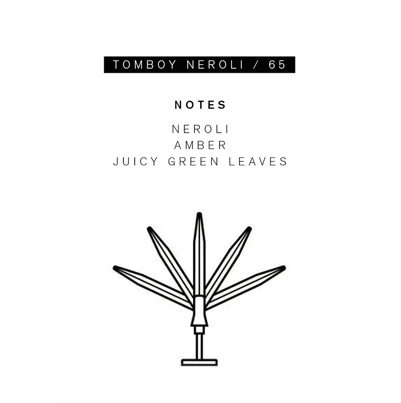 Parle Moi Tomboy Neroli / 65