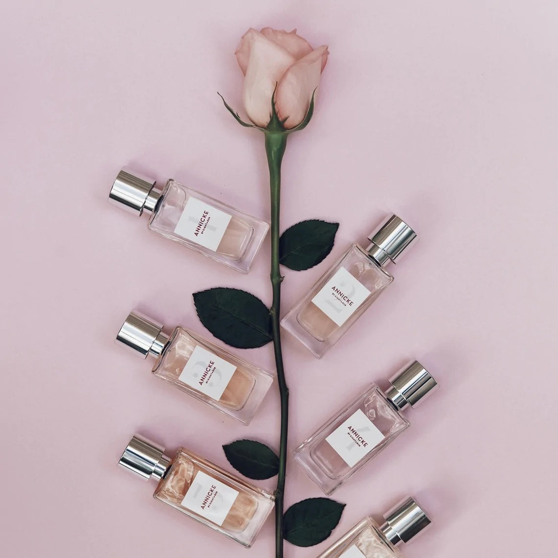 Annicke #1 - 30ml