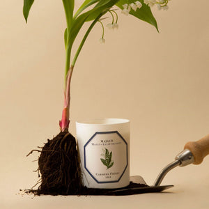 Muguet Blossom Candle