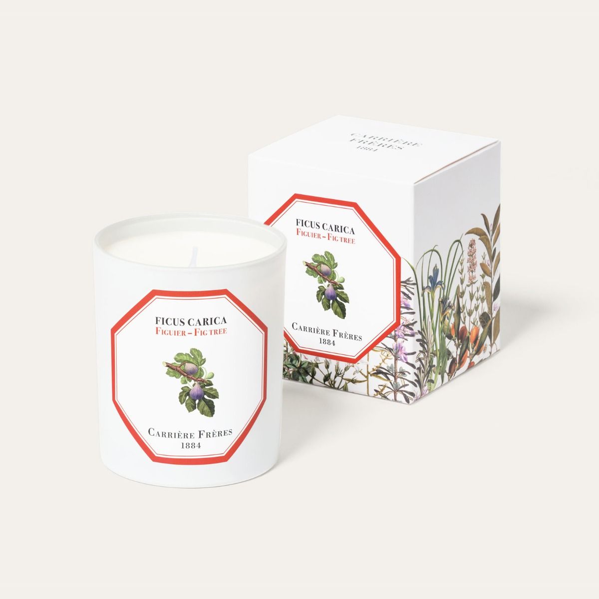Fig tree Candle
