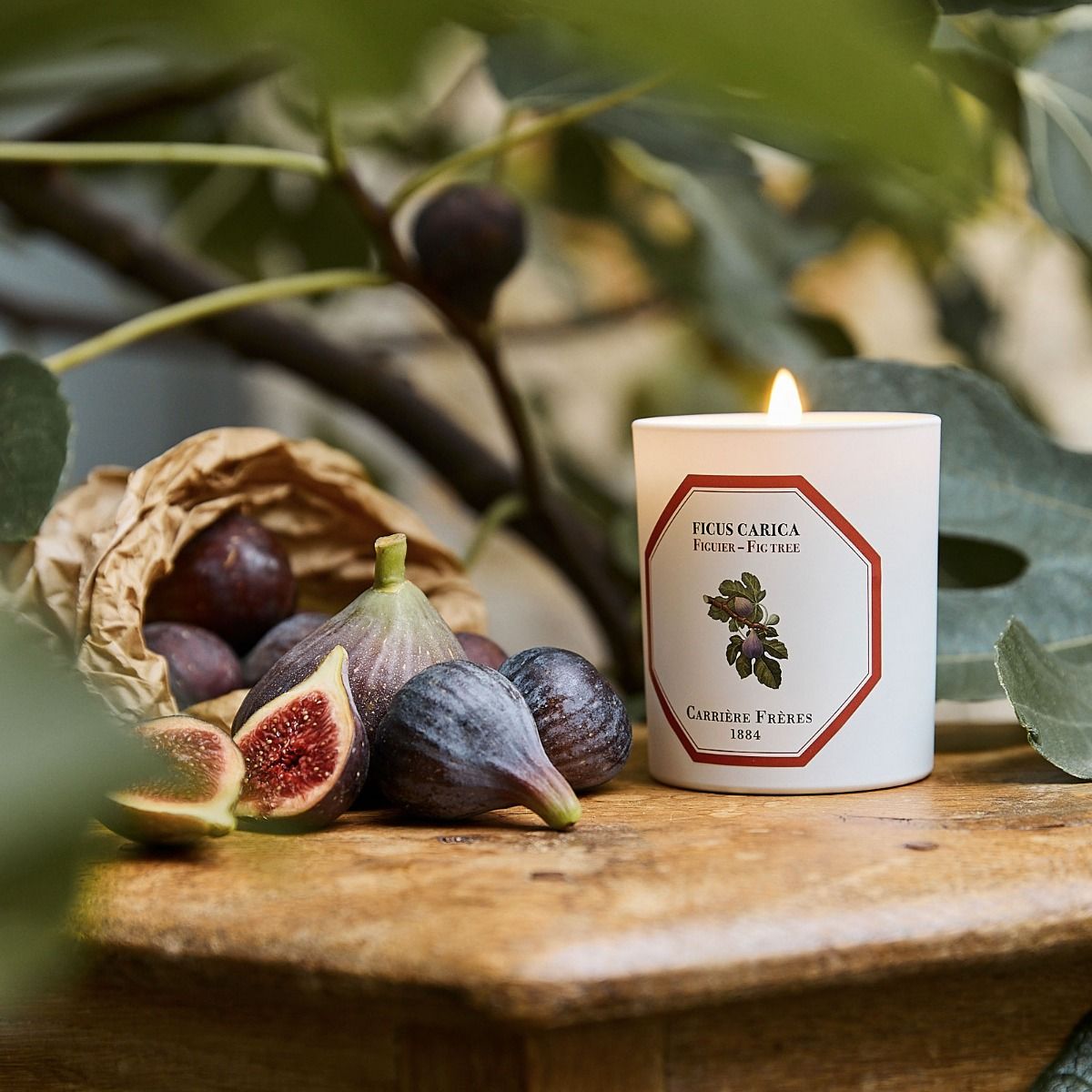 Fig tree Candle