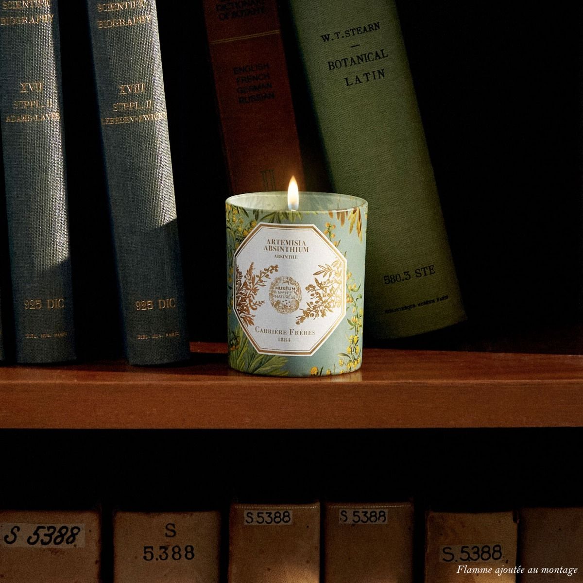 Natural History Museum Absinthe Candle