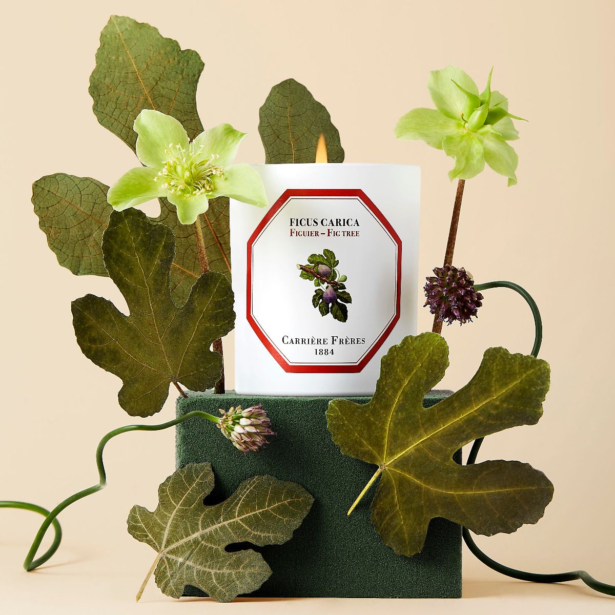 Fig tree Candle