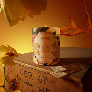 Natural History Museum Frangipani Candle