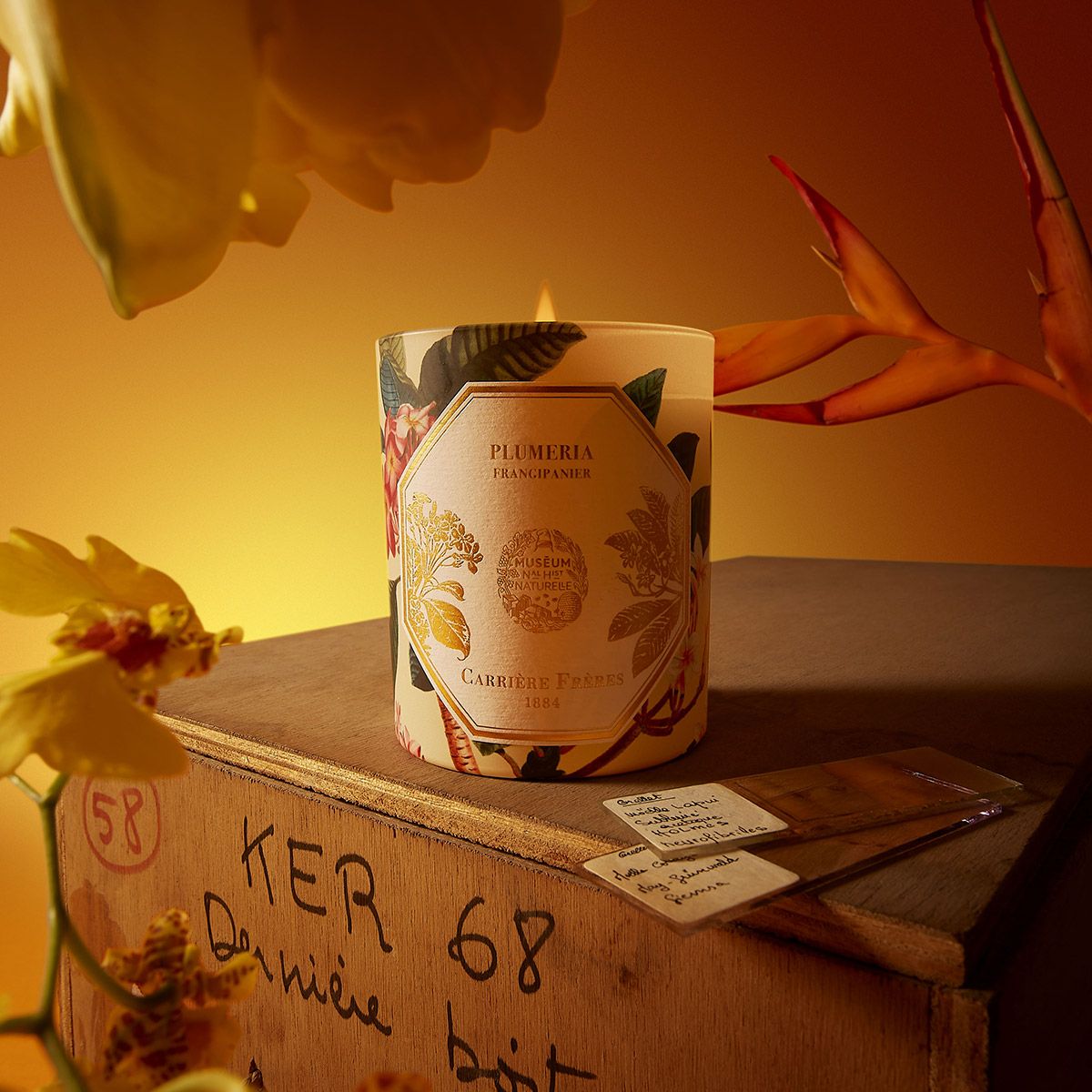Natural History Museum Frangipani Candle
