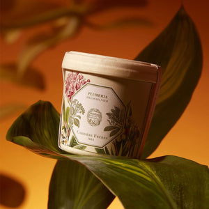 Refill for Frangipani Candle