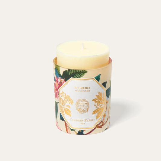 Refill for Frangipani Candle