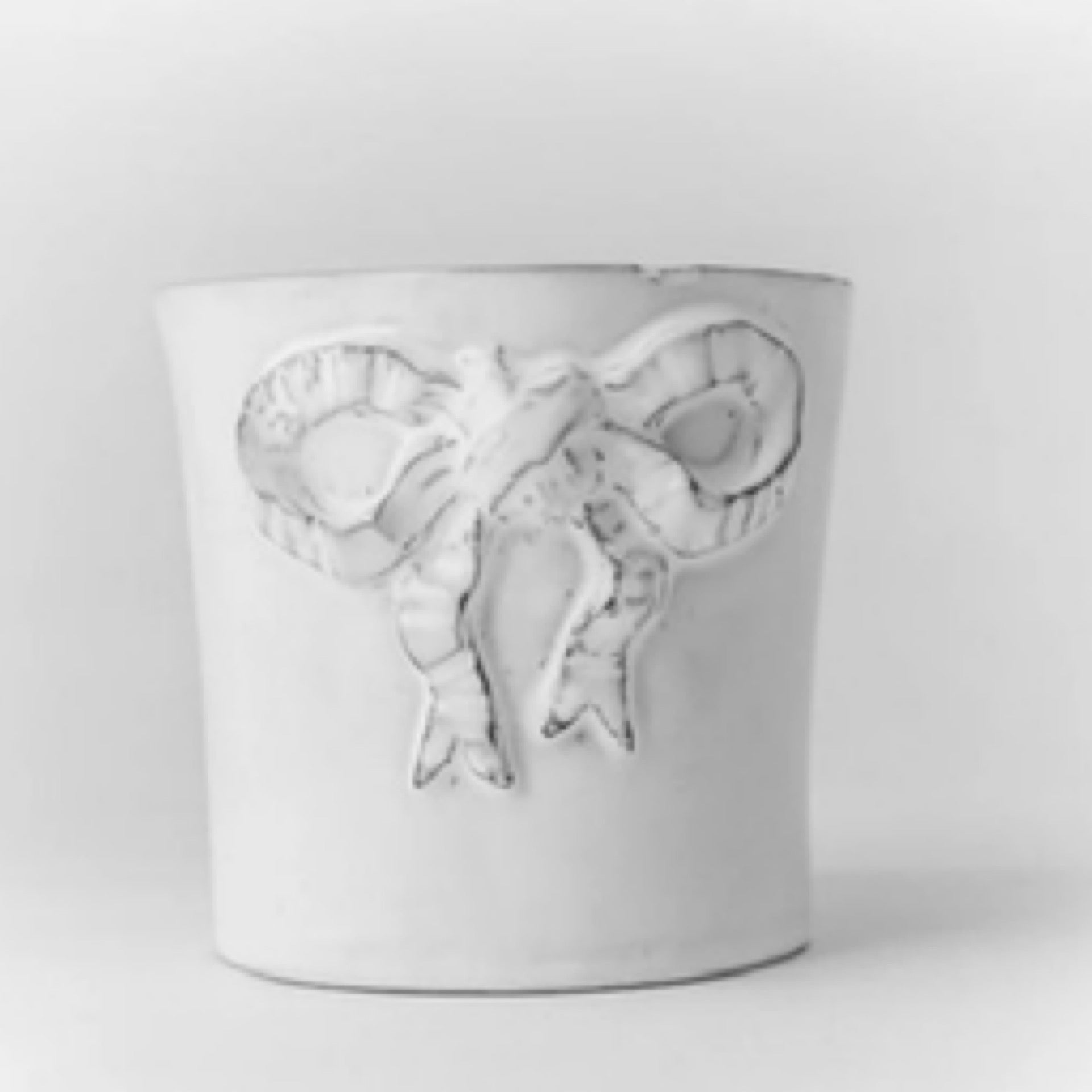 Marie-Antoinette ribbon tumbler XL